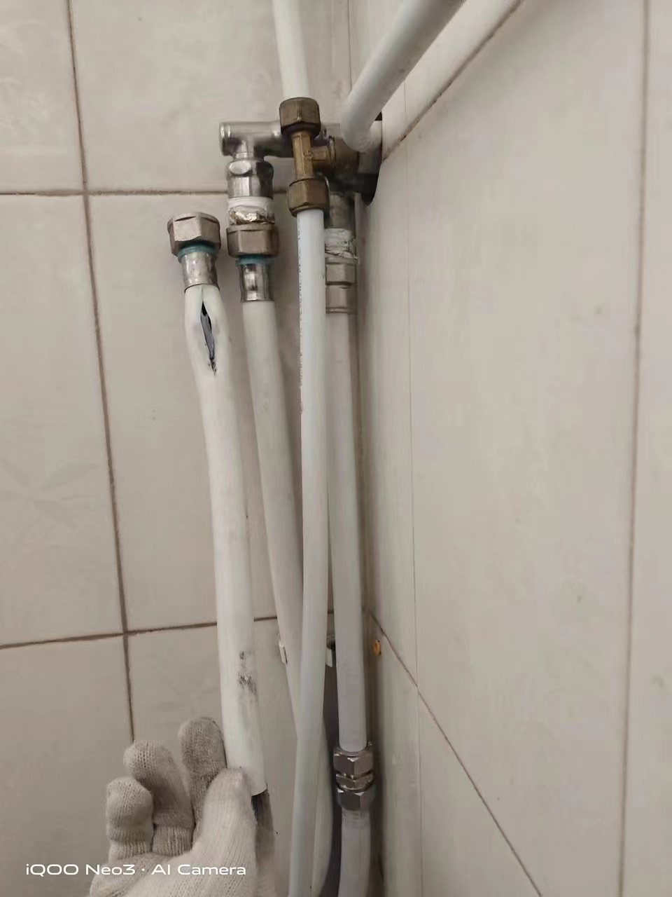 1708305958116811.jpg 微信圖片_20240219092410.jpg