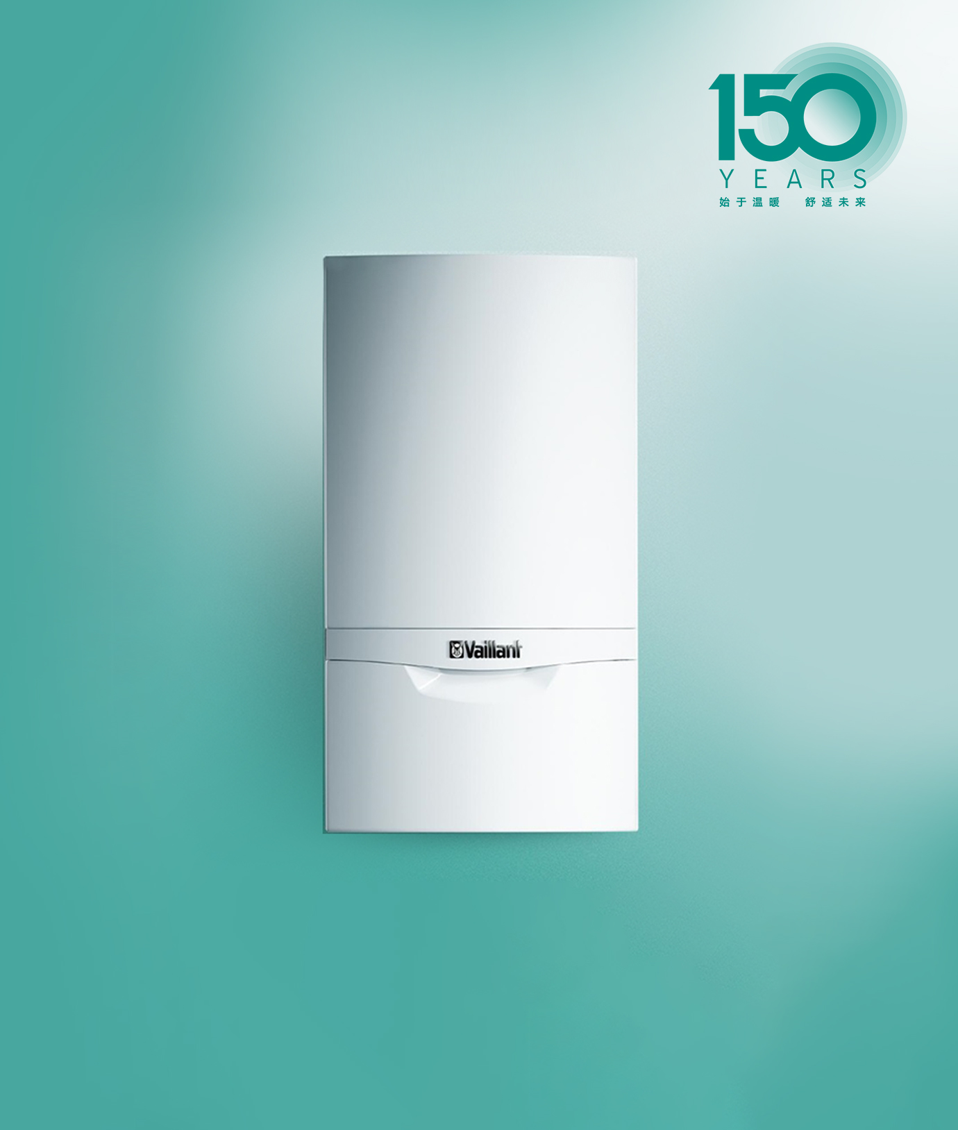 ecoTEC-pro-detail1.jpg